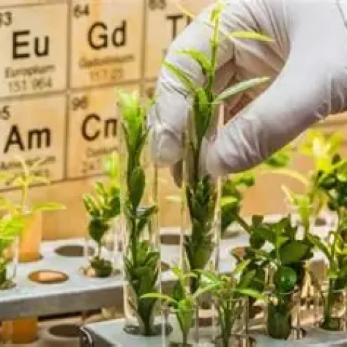 Bioinsumos: Uma Revolução Sustentável que Pode Economizar US$ 5,1 Bilhões ao Agronegócio Brasileiro