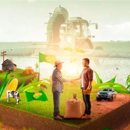 Eventos Agropecuários em Mato Grosso: Destaques para Julho de 2025