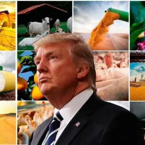 Tarifa de 50% de Trump: Impactos no Agronegócio Brasileiro