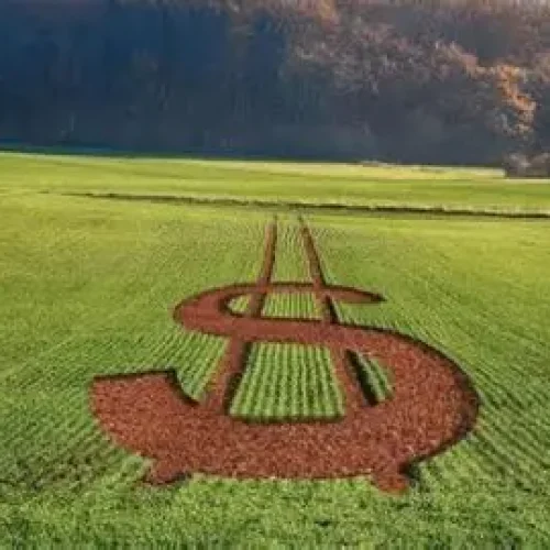 Governo Federal Lança Novas Linhas de Crédito para Pequenos e Médios Produtores Rurais no Plano Safra 2025/26