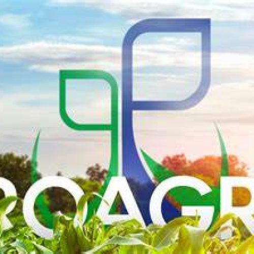 Proposta torna facultativa a adesão do produtor rural ao Proagro