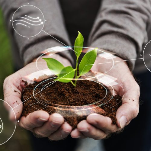 Plantio Sustentável: Práticas que Conservam o Solo, Protegem o Meio Ambiente e Garantem a Produção de Alimentos para o Futuro