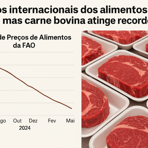 Preços internacionais dos alimentos recuam, mas carne bovina atinge recorde