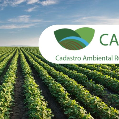CAR Digital 2.0: Mato Grosso Avança na Regularização Ambiental