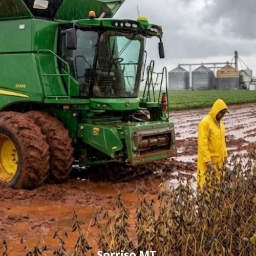 O Paradoxo da Chuva em Sorriso: Água que garante o futuro é a mesma que trava a colheita presente