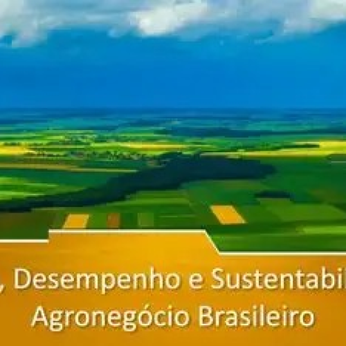 Sustentabilidade e Inovação no Agronegócio Brasileiro rumo à COP30