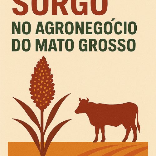 A Relevância do Sorgo no Agronegócio do Mato Grosso