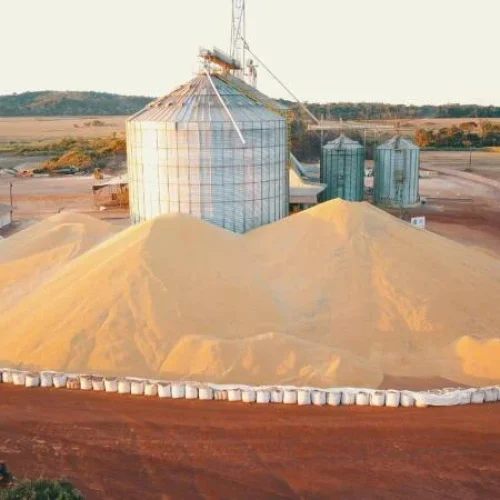 Estoques de Soja em Mato Grosso: Estado se Prepara para Liderar a Safra 2025/26