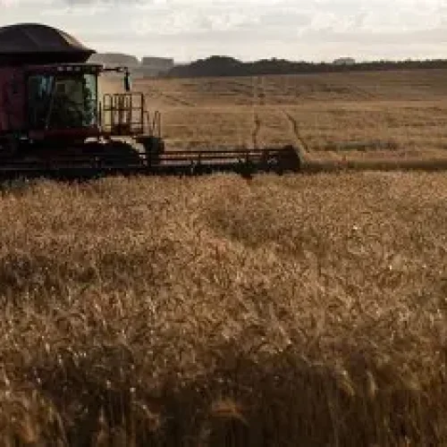 O Surgimento do Agronegócio em Mato Grosso: De Terras Inóspitas a Potência Agrícola