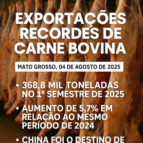 Mato Grosso bate recorde histórico nas exportações de carne bovina em 2025