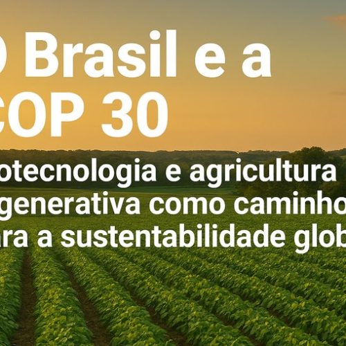 COP30 no Brasil: Avanços na Agricultura Regenerativa e Sustentabilidade