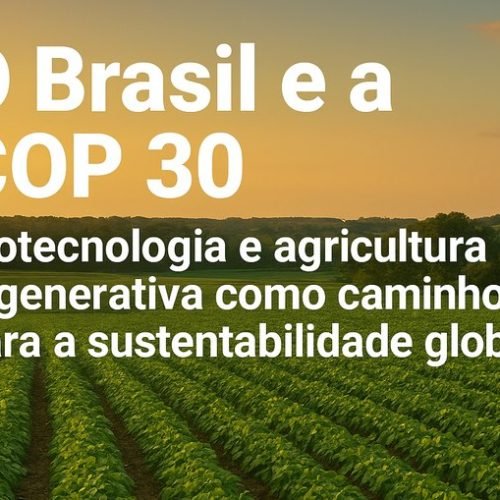 COP30 no Brasil: Avanços na Agricultura Regenerativa e Sustentabilidade