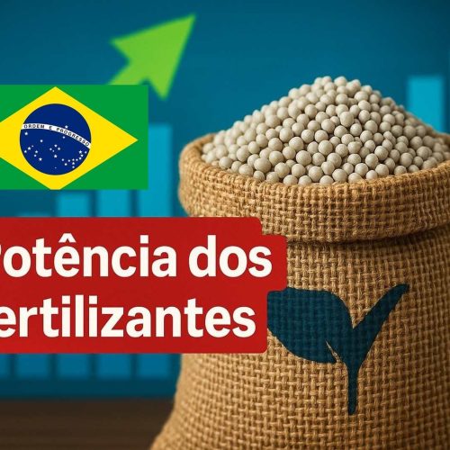 Mato Grosso investe em autonomia e sustentabilidade na cadeia de fertilizantes diante dos desafios de custos e importações