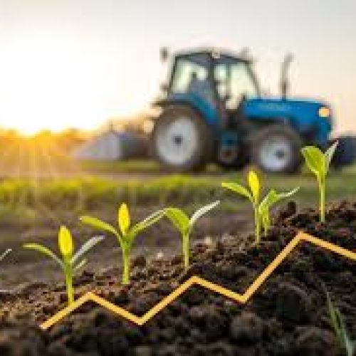 Novo Recorde, mas Margens Apertadas Exigem Cautela do Produtor