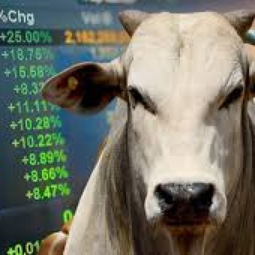 Carne Bovina de MT: Qualidade Global e Liderança no Mercado