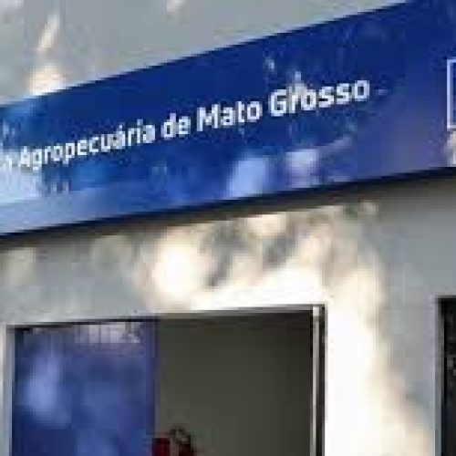 Indea-MT: Guardião da Sanidade Agropecuária em Mato Grosso em 2025