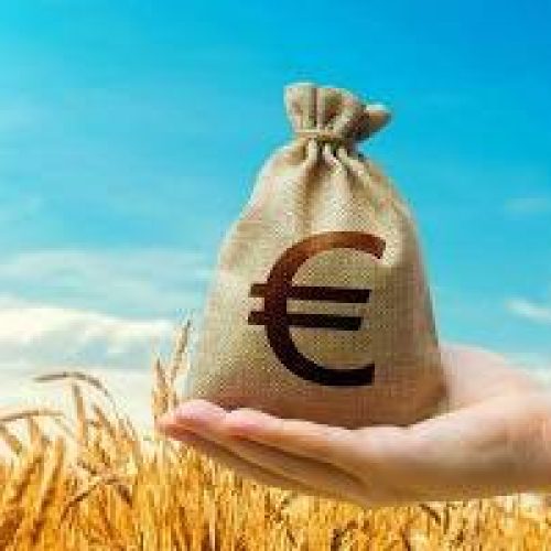 Crise do Cereal: Trigo Importado Atinge o Menor Preço em Quase 5 Anos e Estrangula o Produtor Nacional