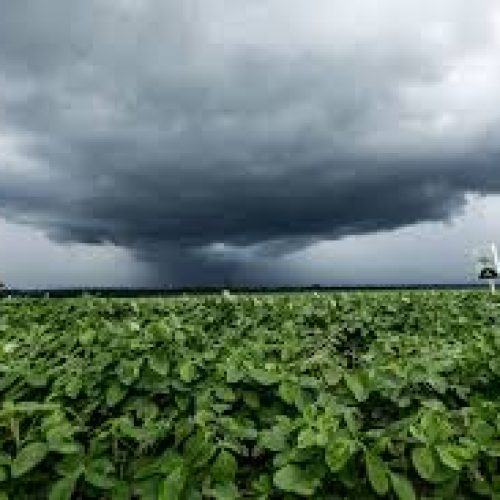 Clima no Brasil se Divide: Sul Recebe Chuvas Volumosas Enquanto Centro-Norte Enfrenta Calor Extremo