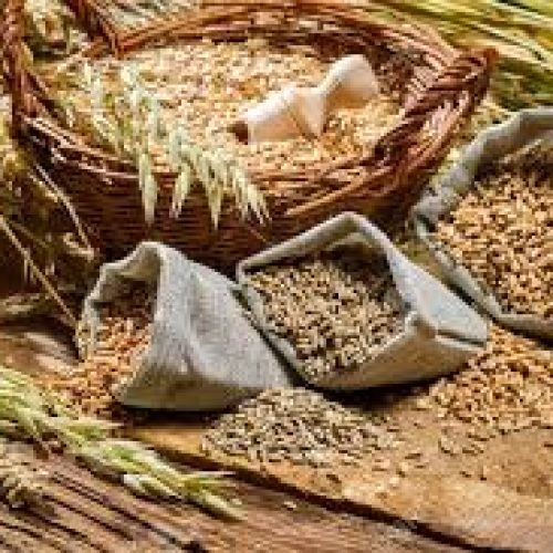 Safra Global de Grãos 2025/26: Produção Recorde Impulsiona Otimismo no Setor