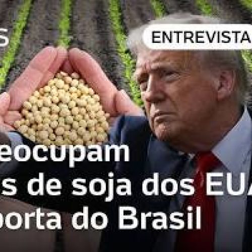 Tensão Geopolítica Abala Mercado da Soja: China Reduz Compras dos EUA e Impacta Prêmios Brasileiros