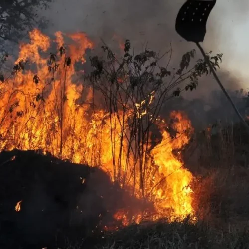 Clima seco e quente favorece desenvolvimento de grãos na Europa