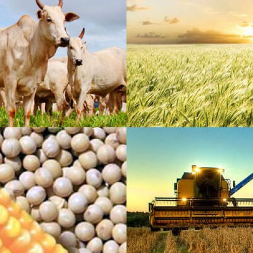 Agronegócio Brasileiro na Mira Europeia: Restrição ou Oportunidade?