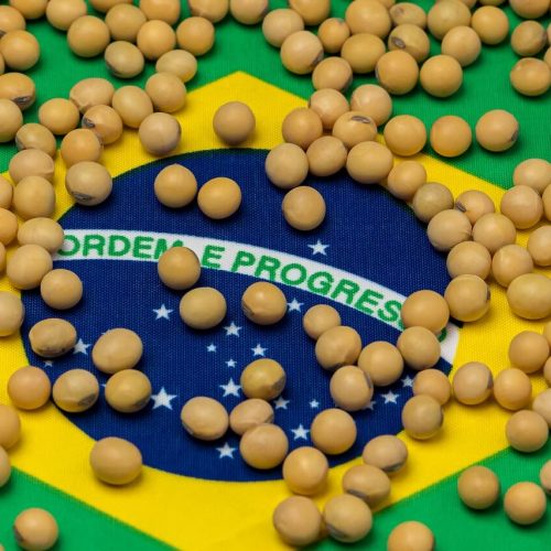 Produtividade recorde, escoamento lento e mercado travado marcam cenário da soja no Brasil