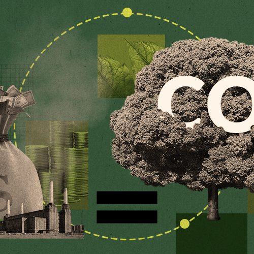 Mercado de Carbono no Agro: Novas Oportunidades para Produtores Rurais em Mato Grosso