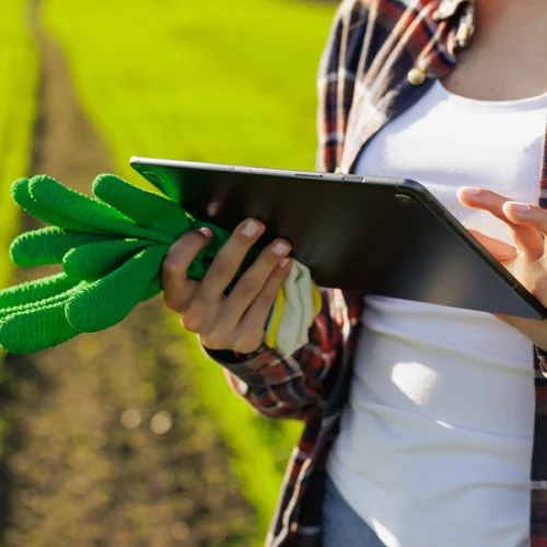 Reforma Tributária: Impacto no Agronegócio e a importância da tecnologia