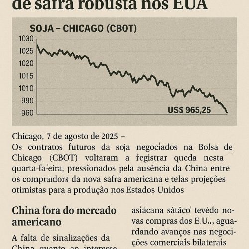 Soja recua em Chicago com ausência da China e projeções de safra robusta nos EUA