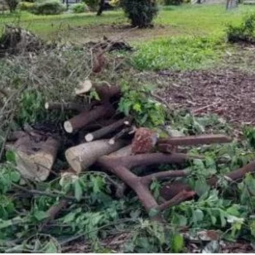 Em parceria com a Sema, Sorriso desenvolve projeto piloto para reaproveitamento de resíduos ambientais