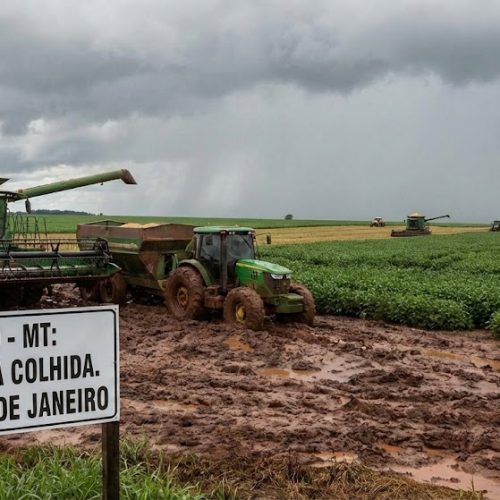 O Paradoxo de Janeiro em Sorriso: Chuva Garante o Futuro, mas Trava as Máquinas com 30% da Soja Colhida