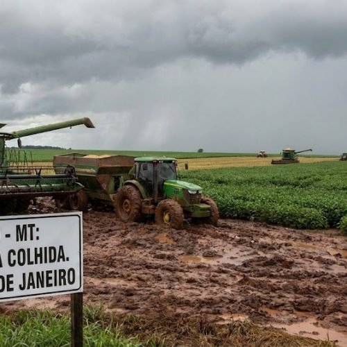O Paradoxo de Janeiro em Sorriso: Chuva Garante o Futuro, mas Trava as Máquinas com 30% da Soja Colhida