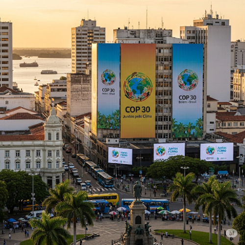 COP 30: Um Fiasco Climático Anunciado no Coração da Amazônia