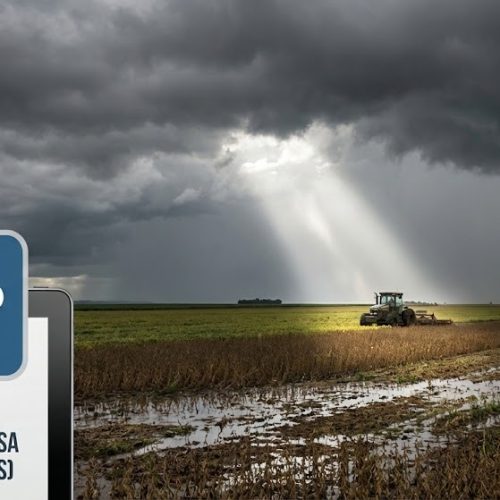 Janela de Sol Curta: Previsão Indica Chuvas Intensas para Mato Grosso nos Próximos 5 Dias