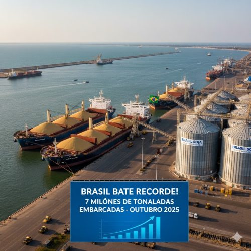 Brasil bate recorde em exportação de soja com 7 milhões de toneladas embarcadas em outubro de 2025