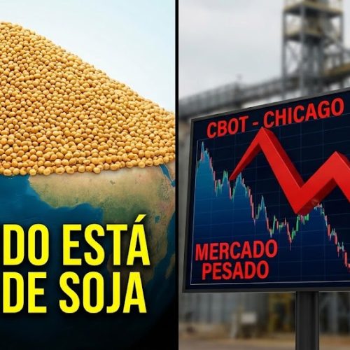 O Mundo está cheio de Soja: O que esperar de Chicago?