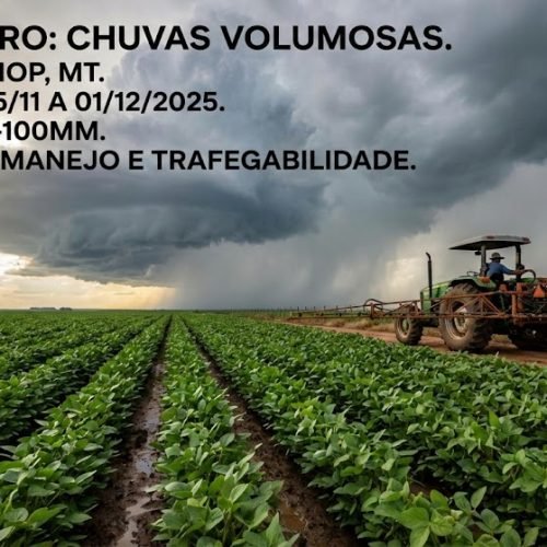 Alerta Agro: Chuvas Volumosas Definem o Ritmo no Médio-Norte de MT; Confira a Previsão para Sorriso, Sinop e Brasil nesta Semana