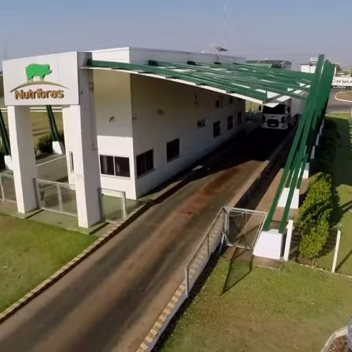 Suinocultura em Sorriso: Um Setor em Crescimento no Coração do Agronegócio Brasileiro